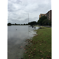 Hurricane Florence  image